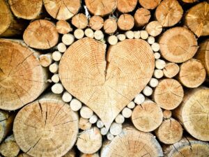 heart, wood, logs, bole, firewood, pieces of timber, woodpile, wooden, timber, forestry, texture, deforestation, material, wood pile, stacked, heart shape, heart, heart, heart, wood, wood, wood, wood, wood